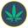 CannaExpress logo